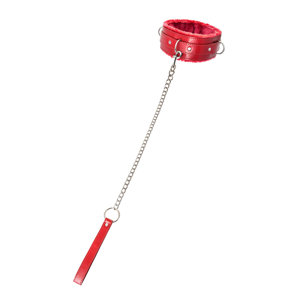 Ошейник Anonymo 